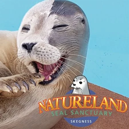 nature land seal sanctuary skegness things to do